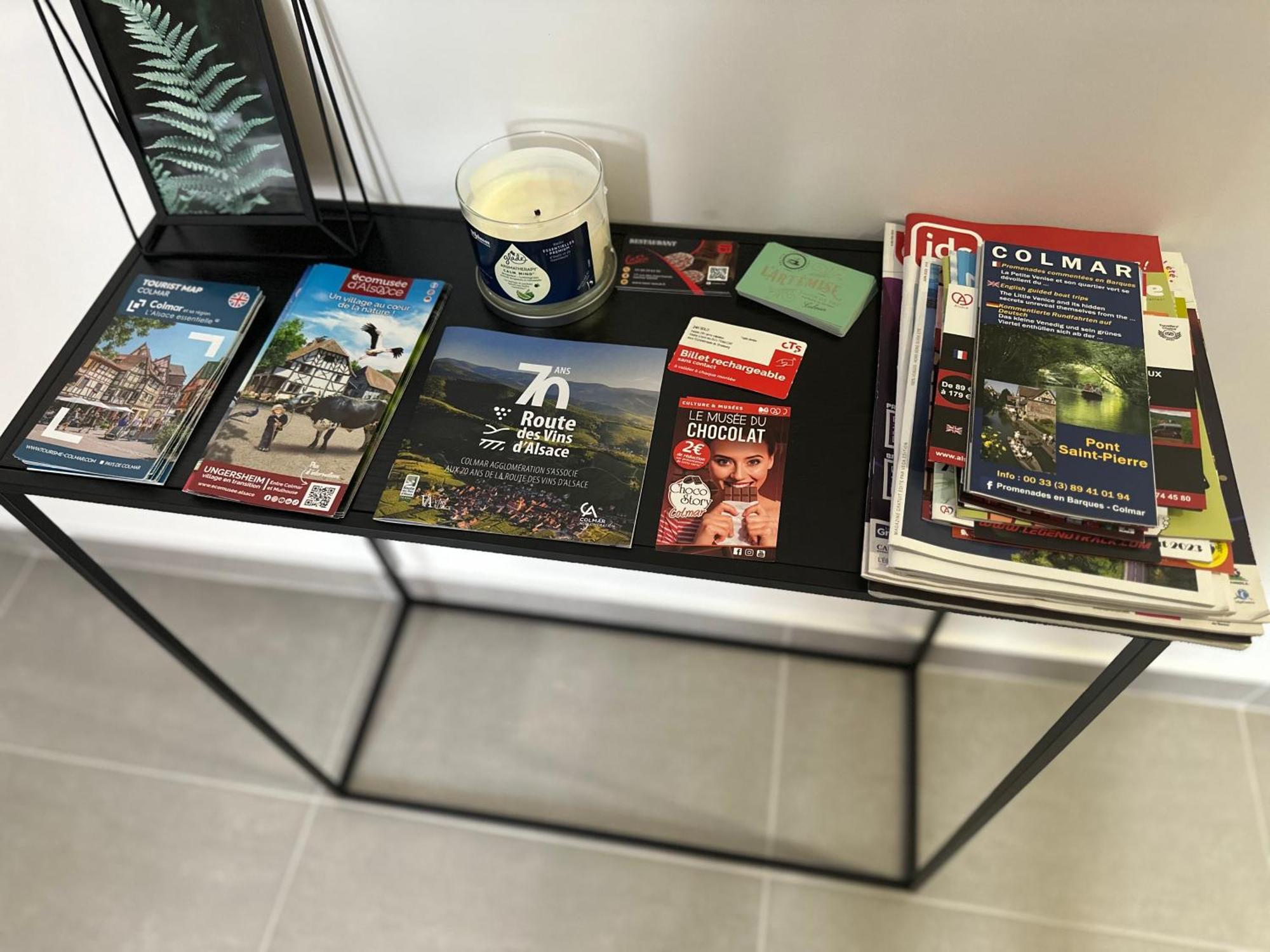 Misic Home Кольмар Экстерьер фото